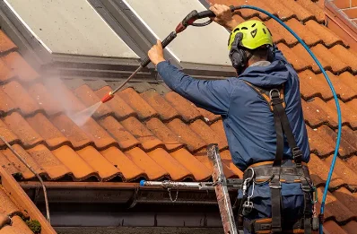 Démoussage et hydrofuge de toiture à Tercillat